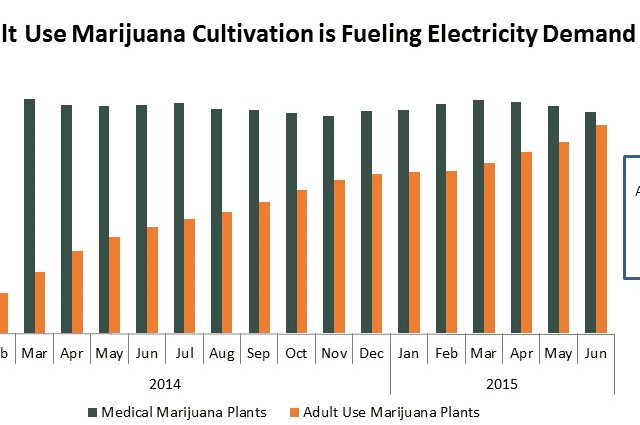 Surging Adult Use, Marijuana Cultivation Is Fueling Electricity Demand In Colorado