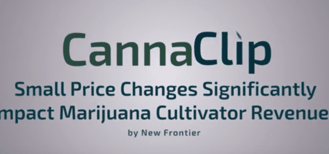 CannaClips: Optimizing the Sales Price of Cannabis to maximize Both Sales Volume and Profitability