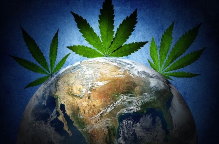 Cannabis on the Globe