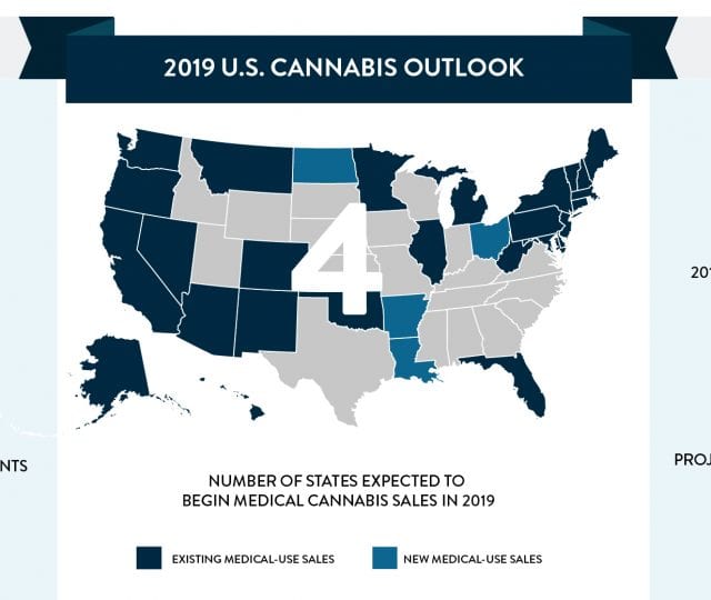 Looking at the Cannabis industry in 2019