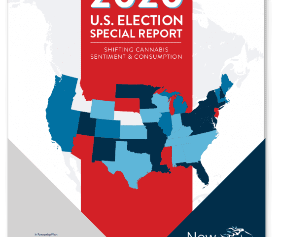 2020 election report