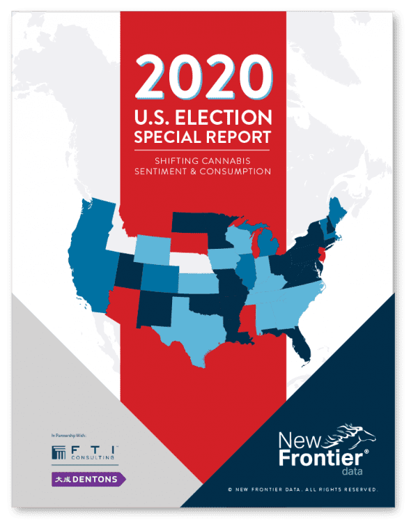 2020 election report