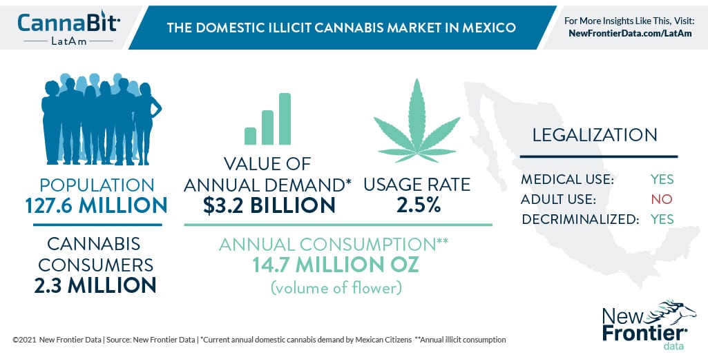 Illicit Cannabis in Mexico 