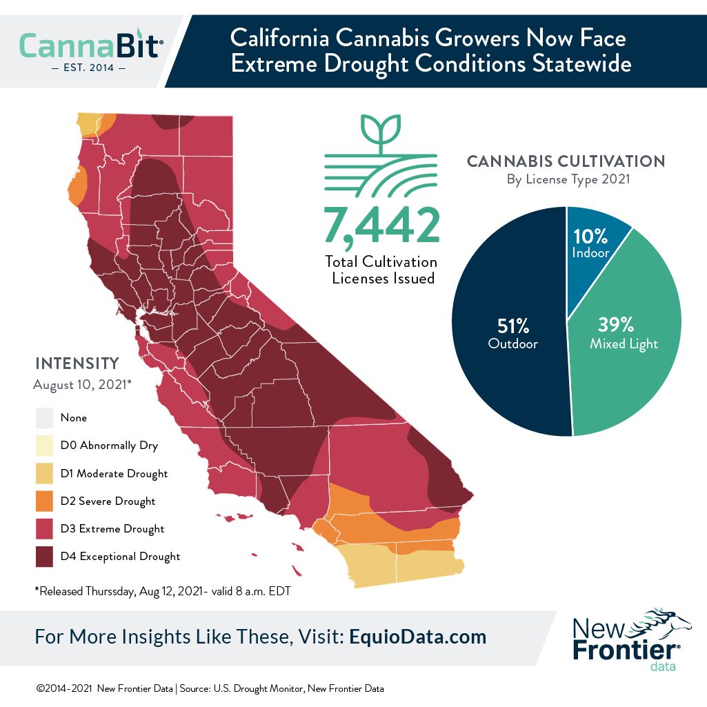 california cannabis drought