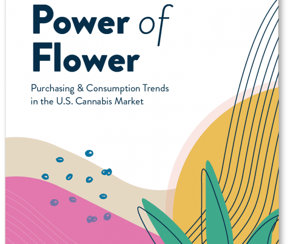 the Power of Flower