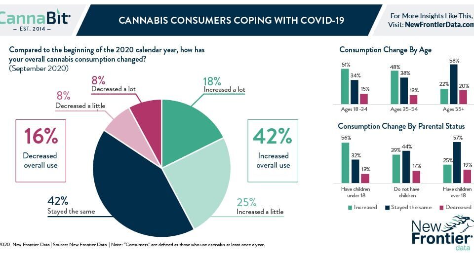 11 23 2020 Cannabit infographic