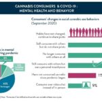 11 30 2020 Cannabit infographic