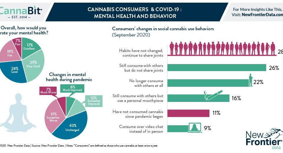 11 30 2020 Cannabit infographic