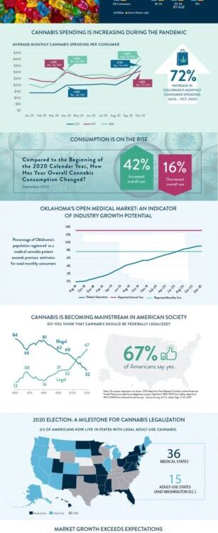 12 14 2020 Cannabit infographic full scaled