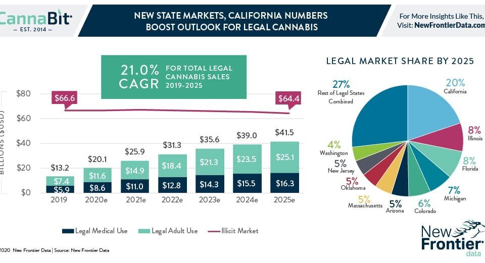 12 7 2020 Cannabit infographic