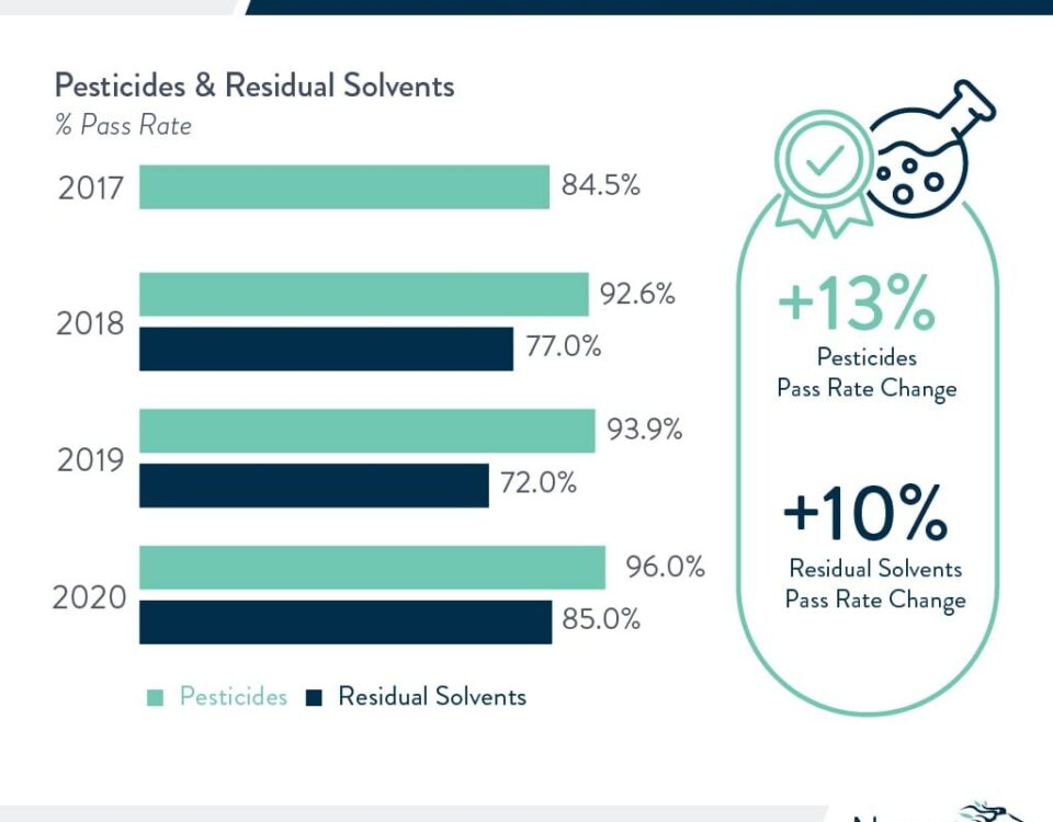 2 15 2021 Cannabit infographic blog copy