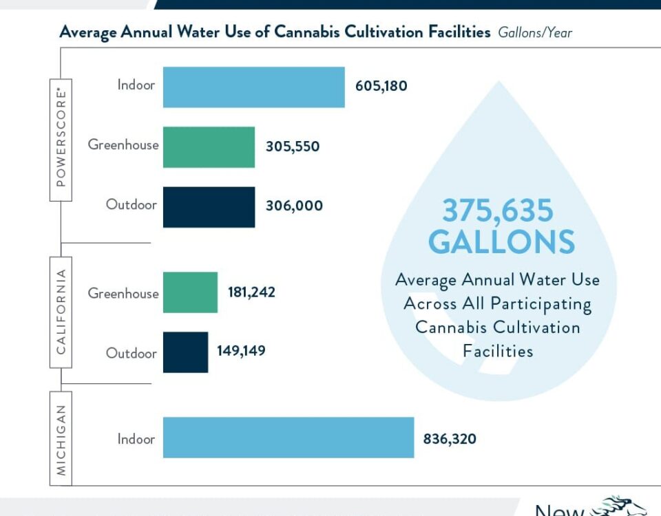 3 1 2021 Cannabit infographic blog mobile