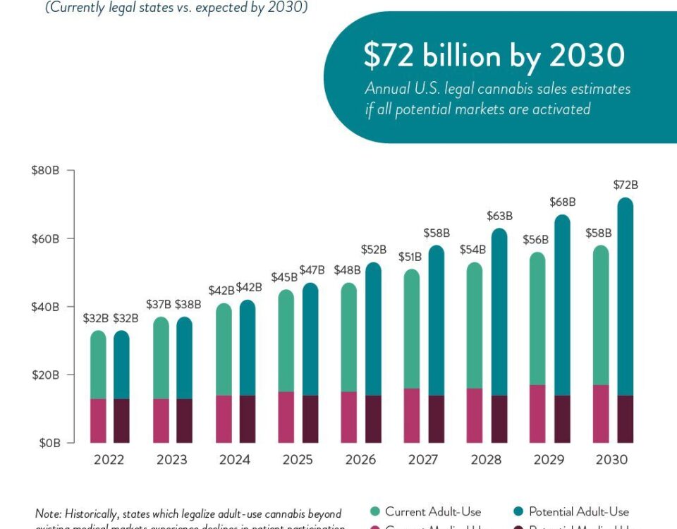 3 21 2022 Cannabit infographic blog mobile