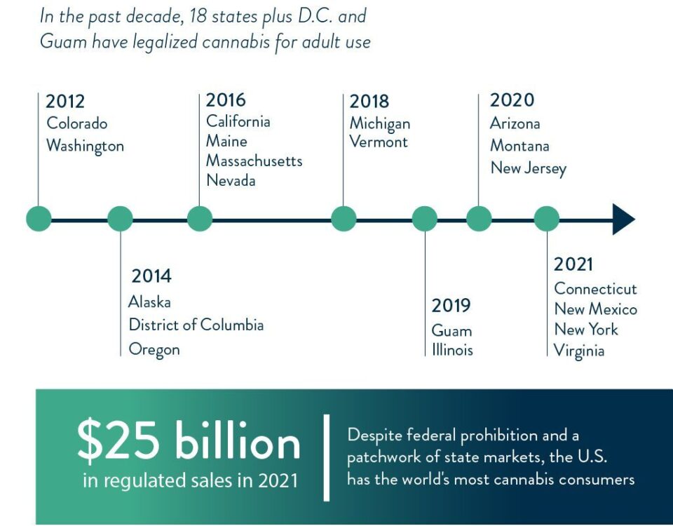 3 7 2022 Cannabit infographic blog mobile