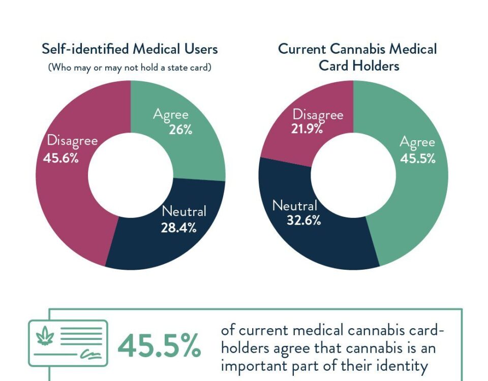 3 7 23 cannabit