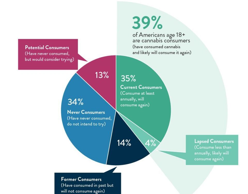 4 11 2022 Cannabit infographic blog mobile