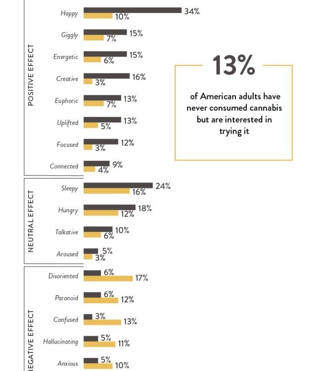 5 2 2022 Cannabit infographic blog mobile