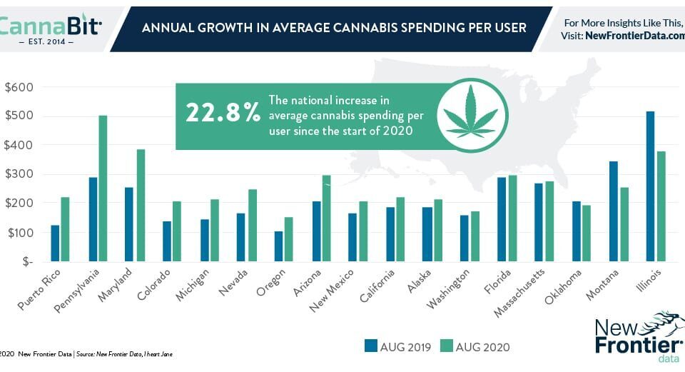 9 7 2020 Cannabit infographic (1)