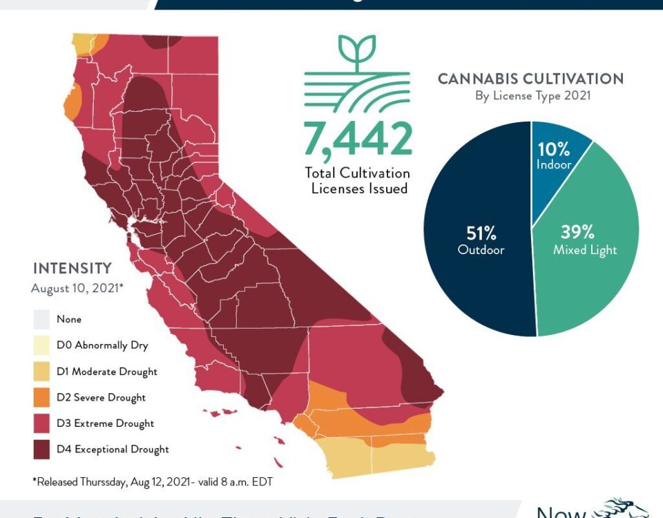 MicrosoftTeams image 23 1