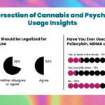 psychedelics and cannabis users