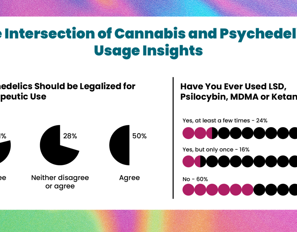 psychedelics and cannabis users