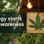 Strategy starts with awareness for cannabis business in 2025