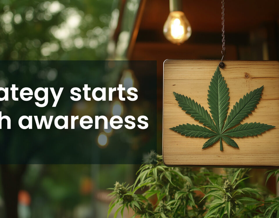 Strategy starts with awareness for cannabis business in 2025