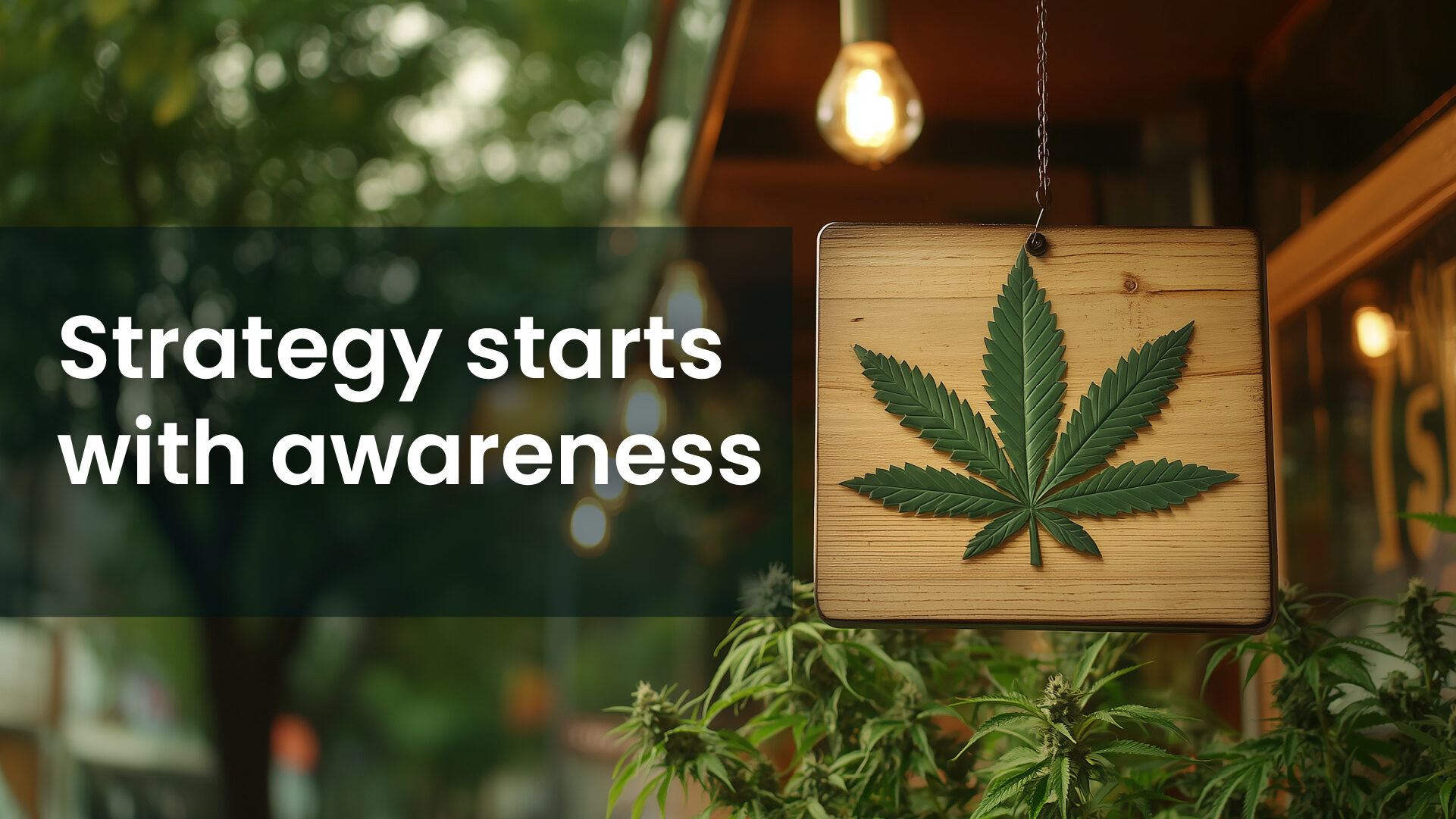 Strategy starts with awareness for cannabis business in 2025
